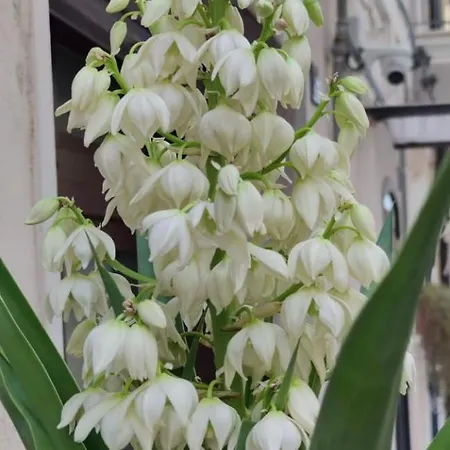 La Maison De Lucietta