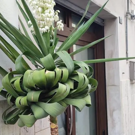 La Maison De Lucietta 別荘 *