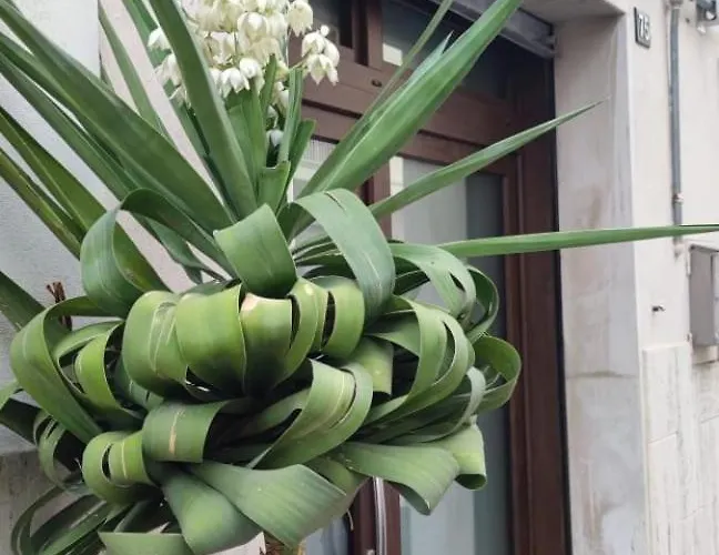 La Maison De Lucietta בית נופש *